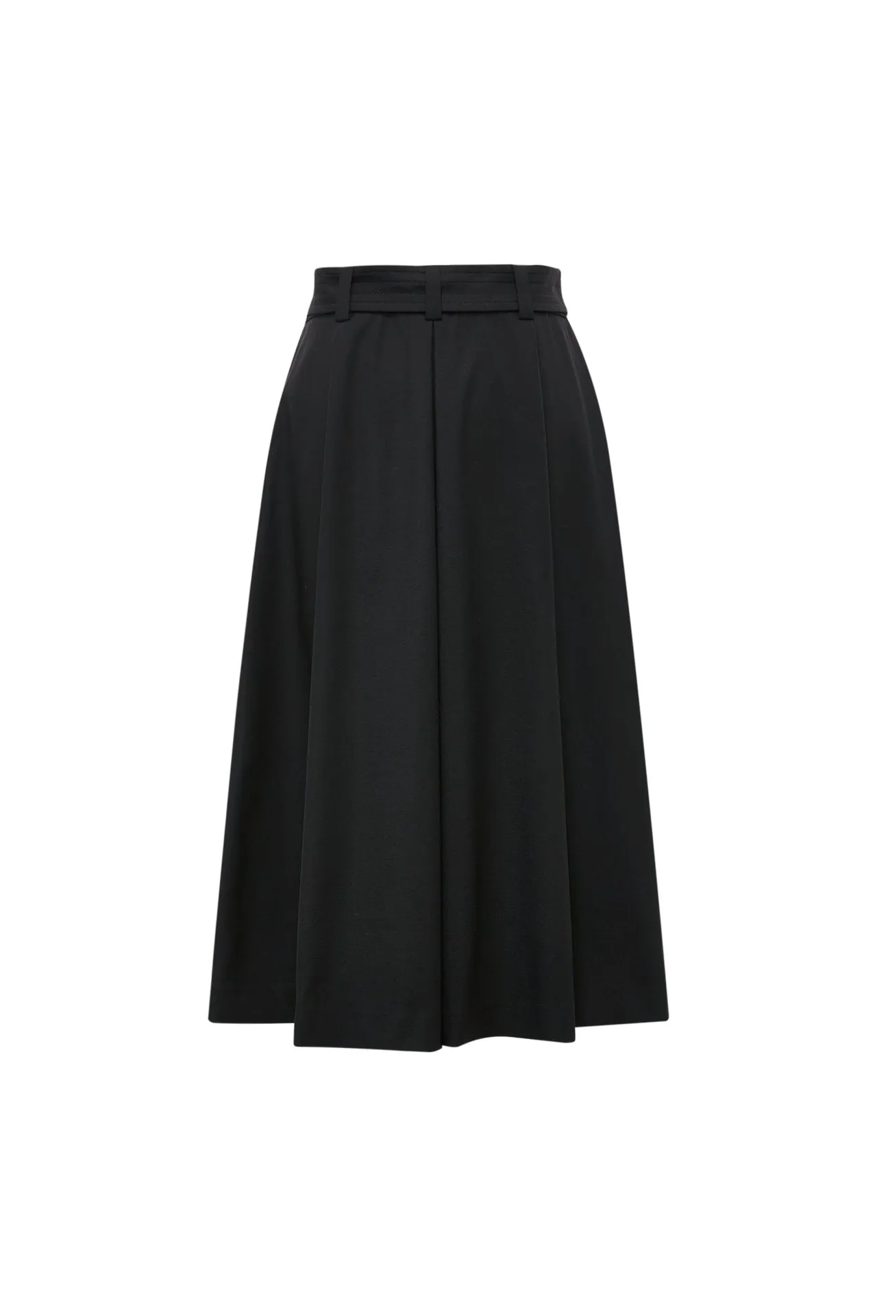 A-Line Flare Pleated Skirt