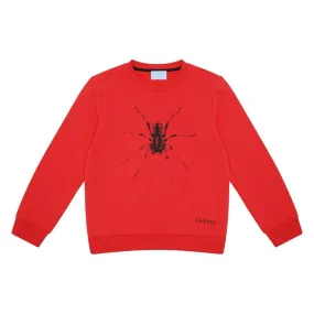 Boys Red Sweater